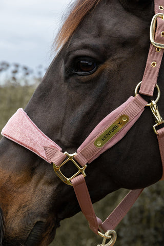 Velvet Unicorn Glitter Halter Pink