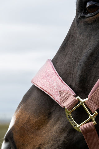Velvet Unicorn Glitter Halter Pink