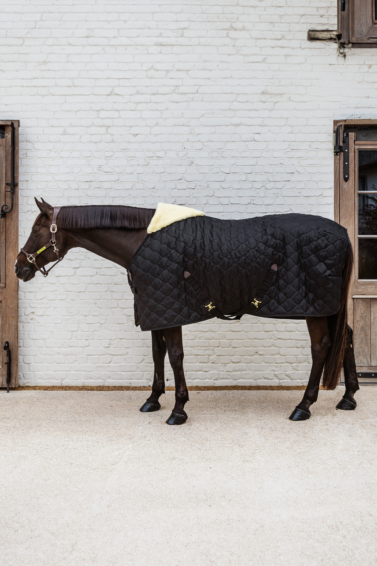Stable Rug Comfort 100g Black – Swedish Equestrian