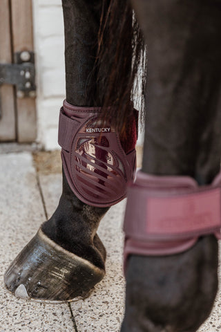 Young Horse Protection Bordeaux
