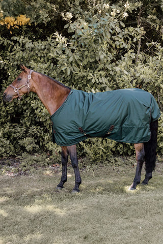 All Weather Outdoor Blanket 160g