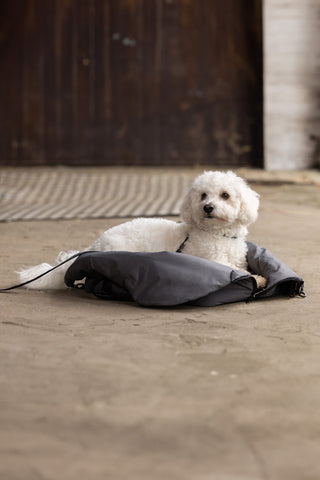 KLMacey Hundedecke Tasche Grey Forged Iron