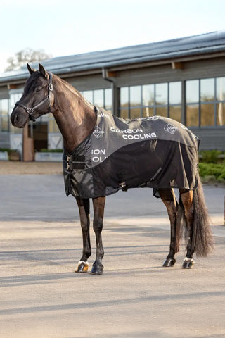 Kyltäcke Carbon Svart