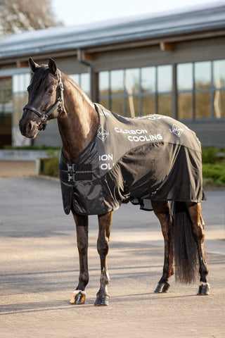 Kyltäcke Carbon Svart