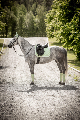 Fleece Bandages Venus Mint