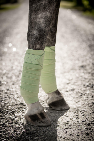 Fleece Bandages Venus Mint