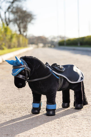 Toy Pony Exercise Sheet