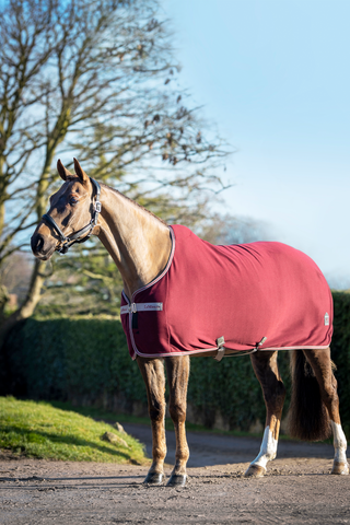 Fleecedækken Arika Jersey-Tek Burgundy