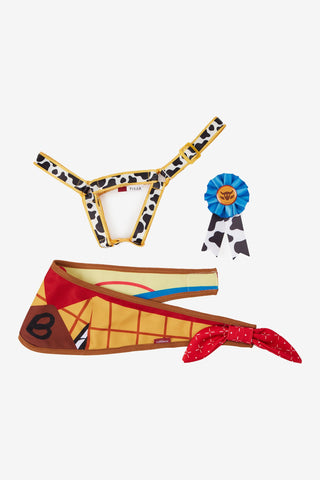 Disney Hobby Horse Set Bullseye