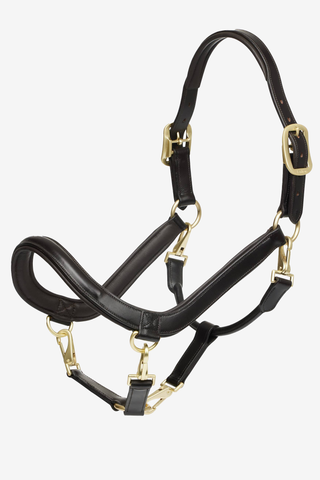 Grooming Halter Leather