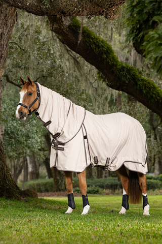 Outdoor Rug Kudos Stone