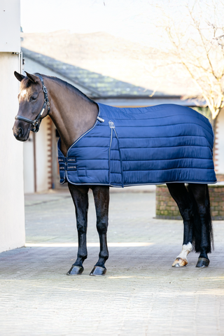 Dækkenliner Kudos 50g Navy