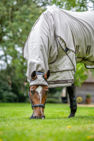 Fly Sheet Kudos Stone