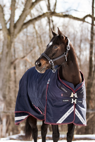 Regndækken Kudos 100g Navy