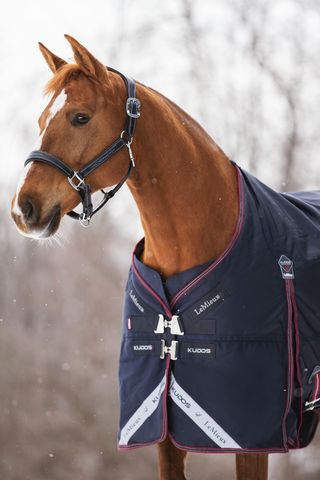 Regndækken Kudos 100g Navy