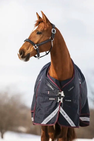 Vinterdækken Kudos 350g Navy