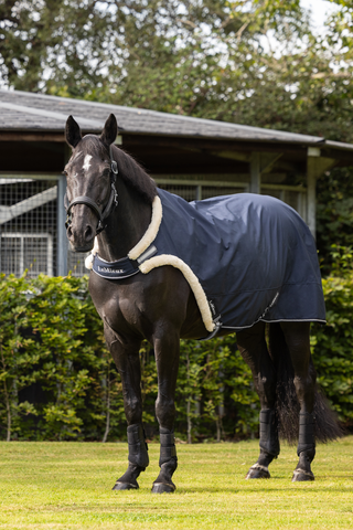 Skrittmaskine dækken Navy