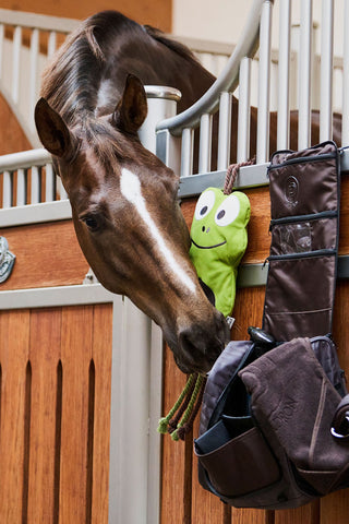 Legetøjsfrø Platinum SS24