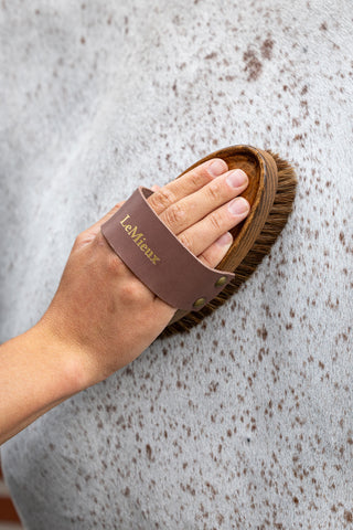 Artisan Soft Speckled Grooming Brush