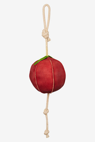 Hestelegetøj Æble