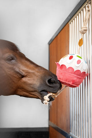 Hestelegetøj Cupcake