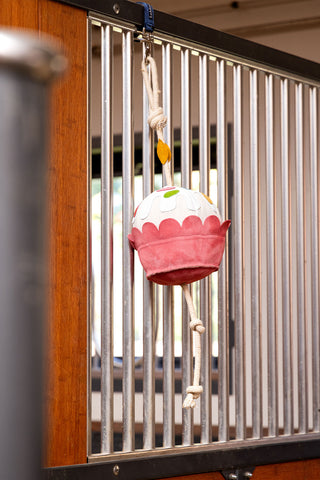 Hestelegetøj Cupcake
