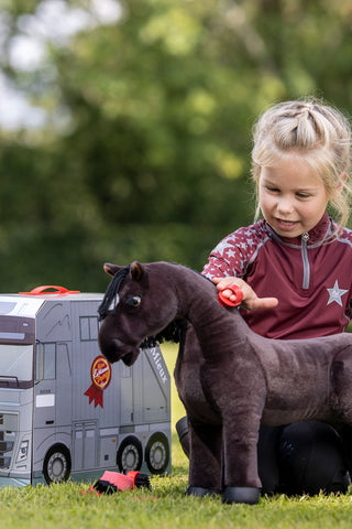 Legetøjs Pony Grooming Kit
