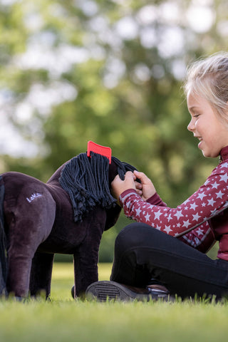 Legetøjs Pony Grooming Kit