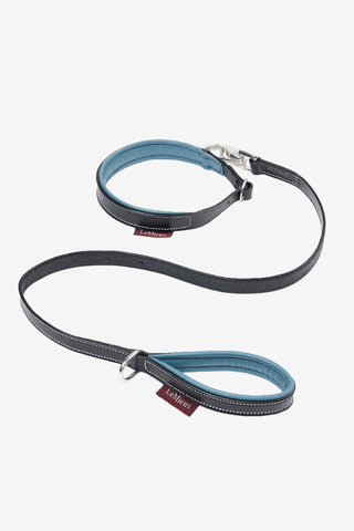 Toy Dog Collar + Leash