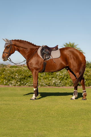 Cotton Jumping Saddle Pad Square Grey