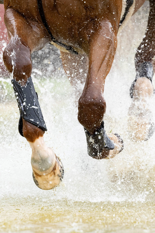 XC Leg Protectors MIMSafe