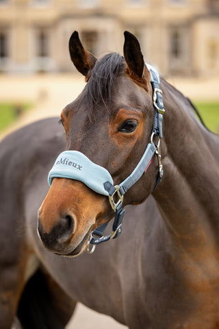 Vogue Halster + Halstertouw