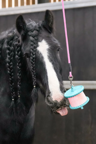 Holder Lickstone