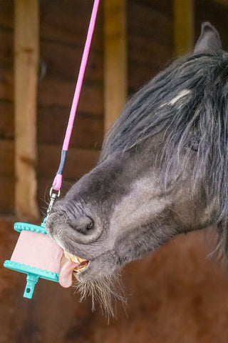 Holder Lickstone