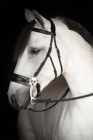 Chester bride hackamore