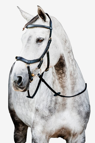 Micklem 2 Multi Bridle Schwarz