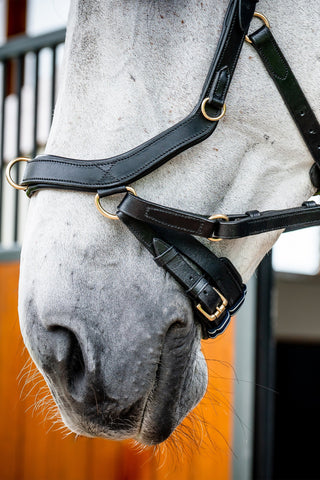 Micklem 2 Multi Bridle Schwarz