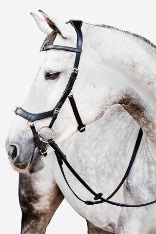 Micklem 2 Multi Bridle Schwarz