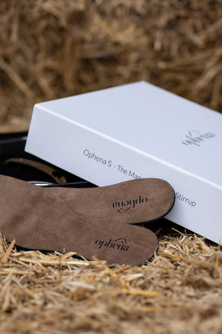 Magnetic Insole