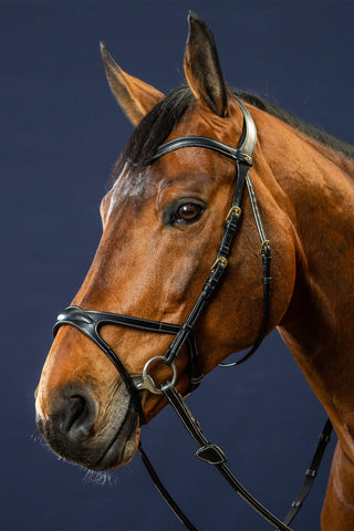 Flat Browband V-Shape DY Black