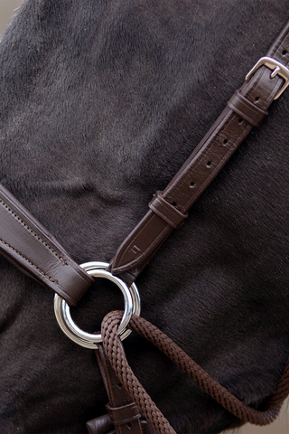 Sunna Bettlöst Träns Brun