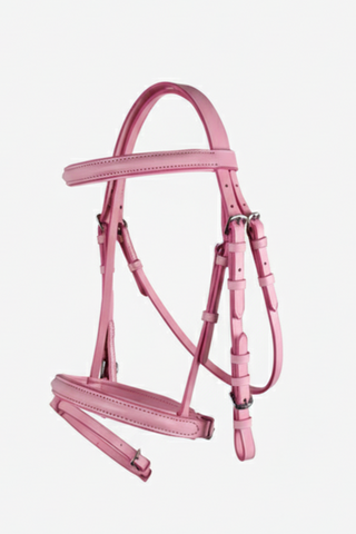 Complete Saddle Set Pink