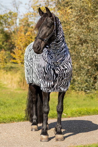 Eksemdækken Big Neck Zebra