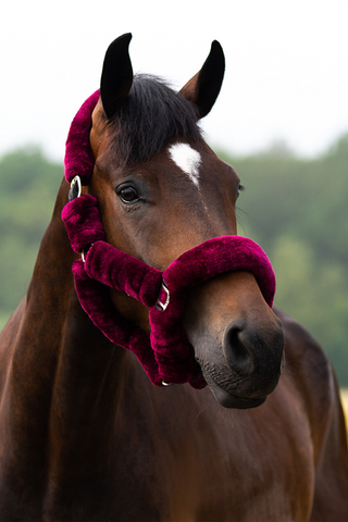 QHP Grime Alaska Bourgogne/Sort