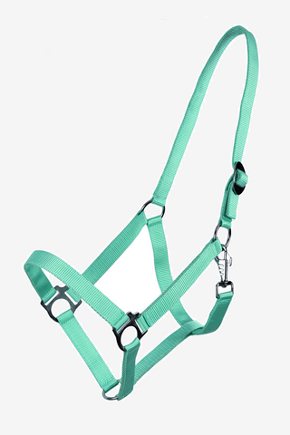 Slide Halter Turquoise