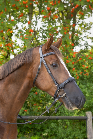 Ochrona przeciw muchom na chrapy czarna