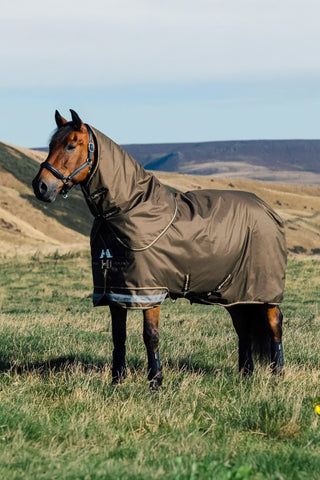 Rain Rug Arika Ripstop 100g Alpine