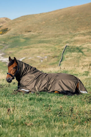 Rain Rug Arika Ripstop 100g Alpine
