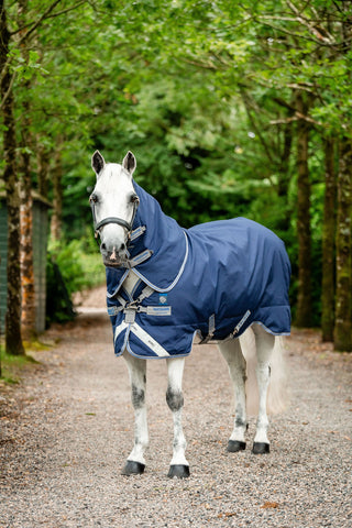Rhino Plus 0g Pony