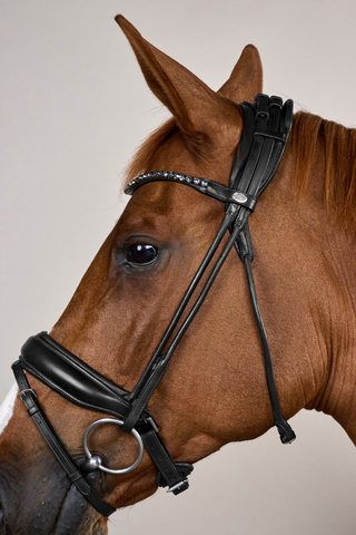 Round Stitched Bridle Large Noseband Soft Leather Black
